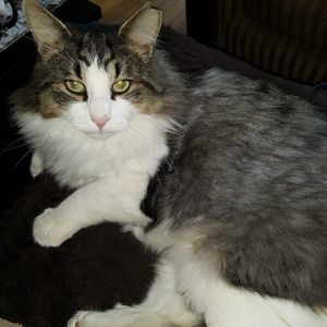 Meet your Posher, Linda